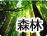 森林